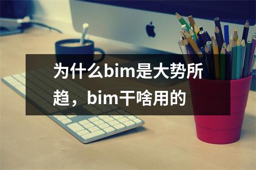 为什么bim是大势所趋,bim干啥用的