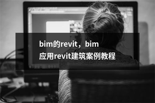 bim的revit,bim应用revit建筑案例教程